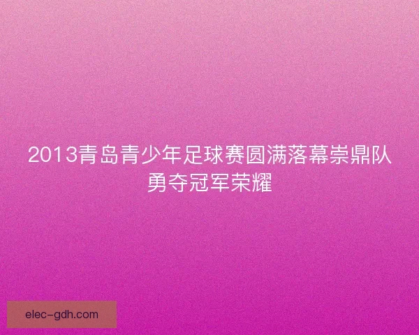 2013青岛青少年足球赛圆满落幕崇鼎队勇夺冠军荣耀
